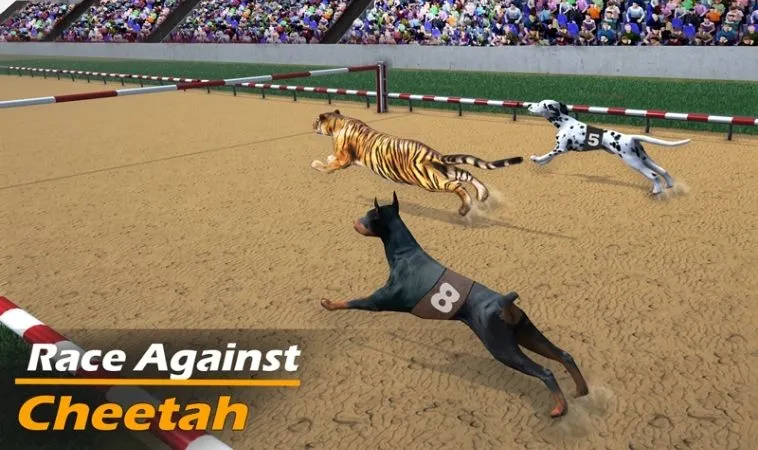 Hướng Dẫn Chơi Game Nhanh Đua Chó Tại K9WIN Một Cách Hiệu Quả 2 Giao diện chơi game nhanh Đua Chó tại K9WIN